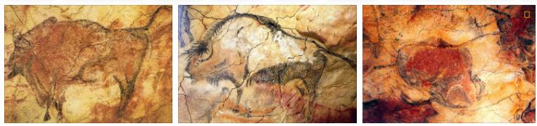 Cave Paintings in Northern Spain (World Heritage)
