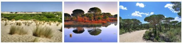 Doñana National Park (World Heritage)