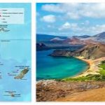 Facts of Galápagos