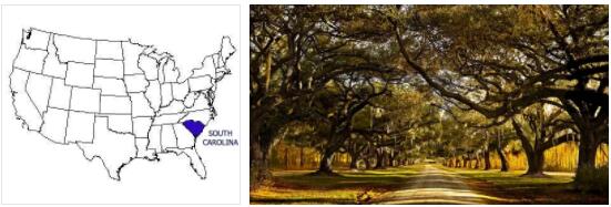 Brief History of South Carolina